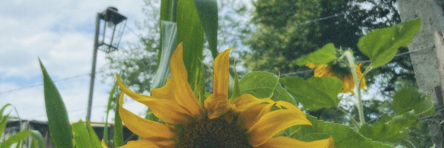 Annitaa🦋 banner