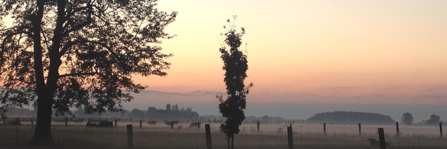 Reed Crawford banner