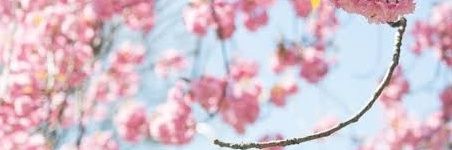 BLNTORCGL's profile banner image