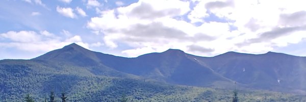 Francis_Mantis Profile Banner