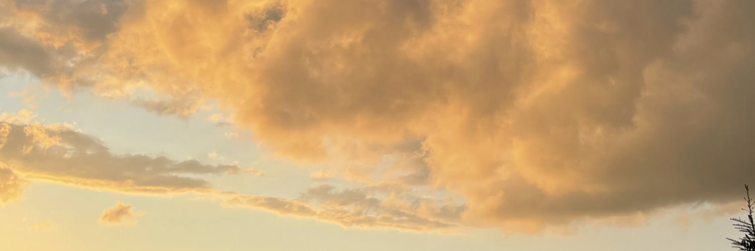 JvRi's profile banner image