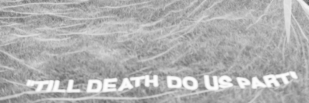 sagittarii ☄ banner