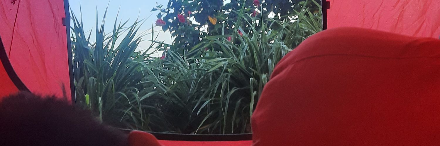 RourouSisi's profile banner image