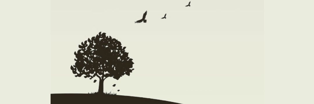 dn_mnyh's profile banner image