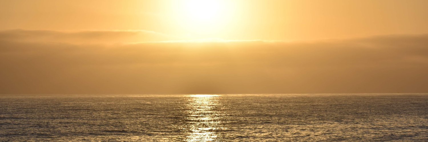 Elena Suzanne 💖 banner
