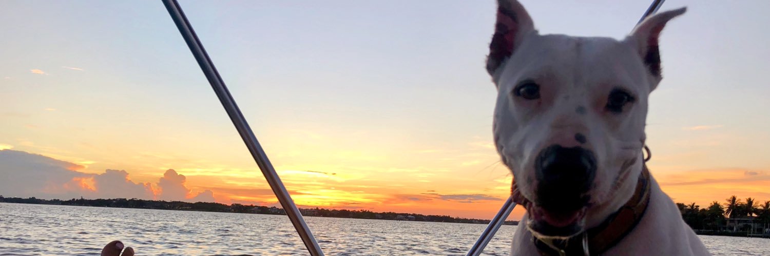 kp_vot's profile banner image