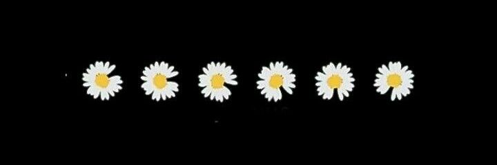 biiyourself's profile banner image
