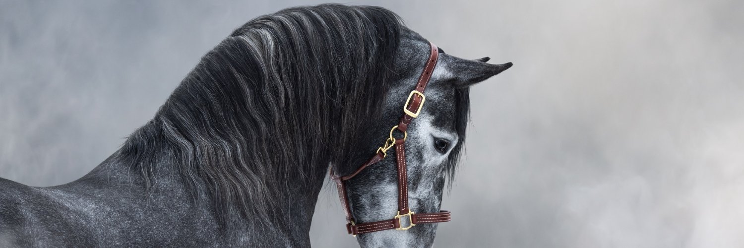 Javier Hernández 🇮🇨 banner