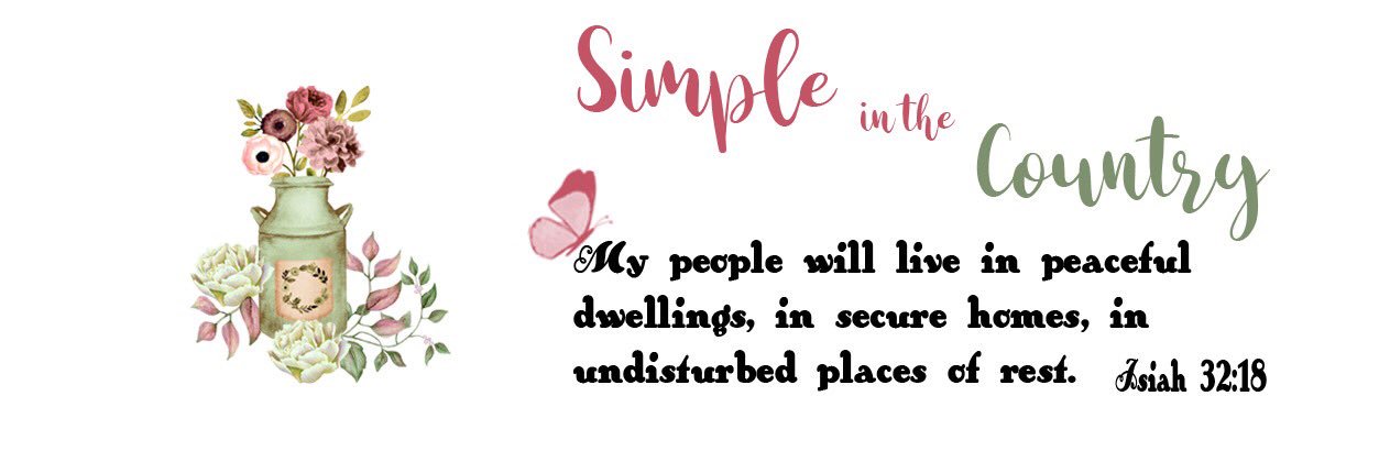simpleinthectry's profile banner image