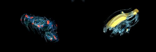 luxxxtv's profile banner image