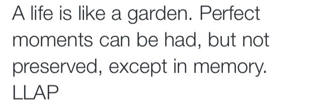 Stephanie Perilli banner