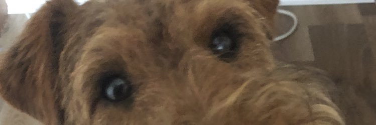 twalkert's profile banner image