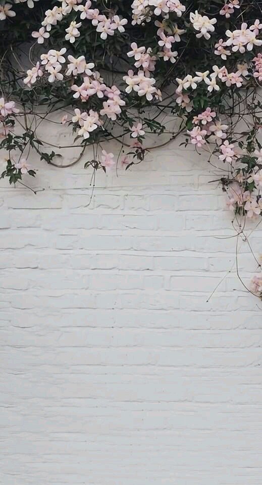 ermafajri's profile banner image