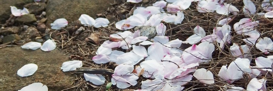coldharry's profile banner image