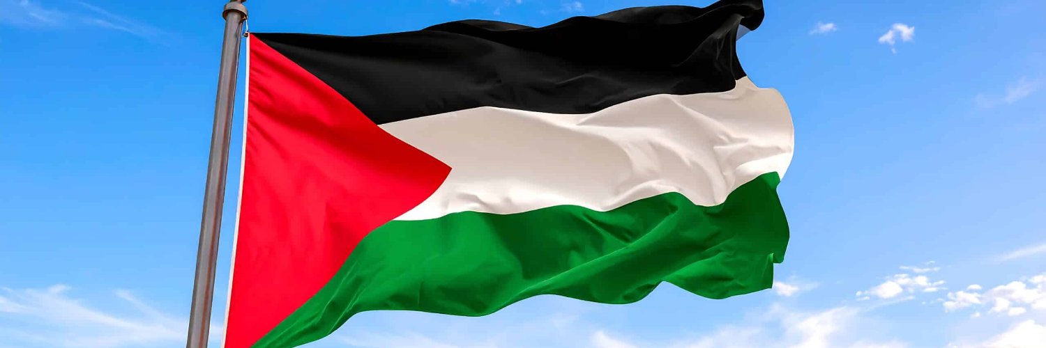 🇵🇸 banner