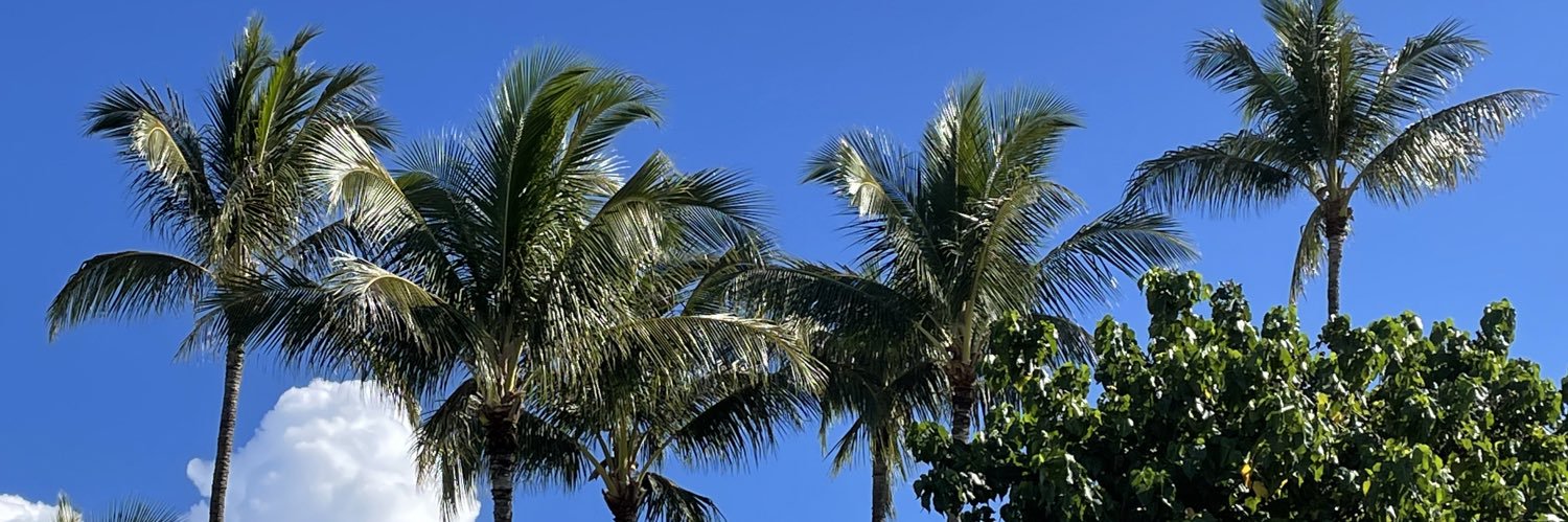 Melissa Inouye banner