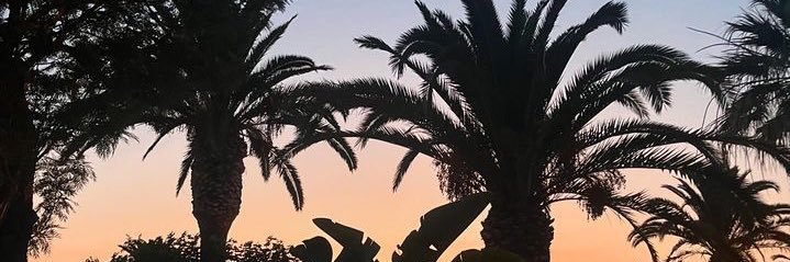 leonorr_dantass's profile banner image