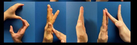 Di Meglio Lab banner