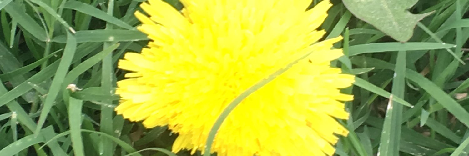 WalterRarak's profile banner image