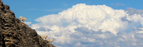 EJoetzjer Profile Banner