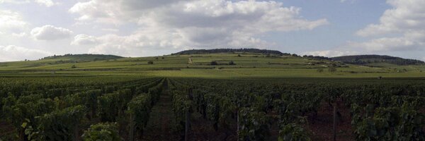 tomasclancy Profile Banner