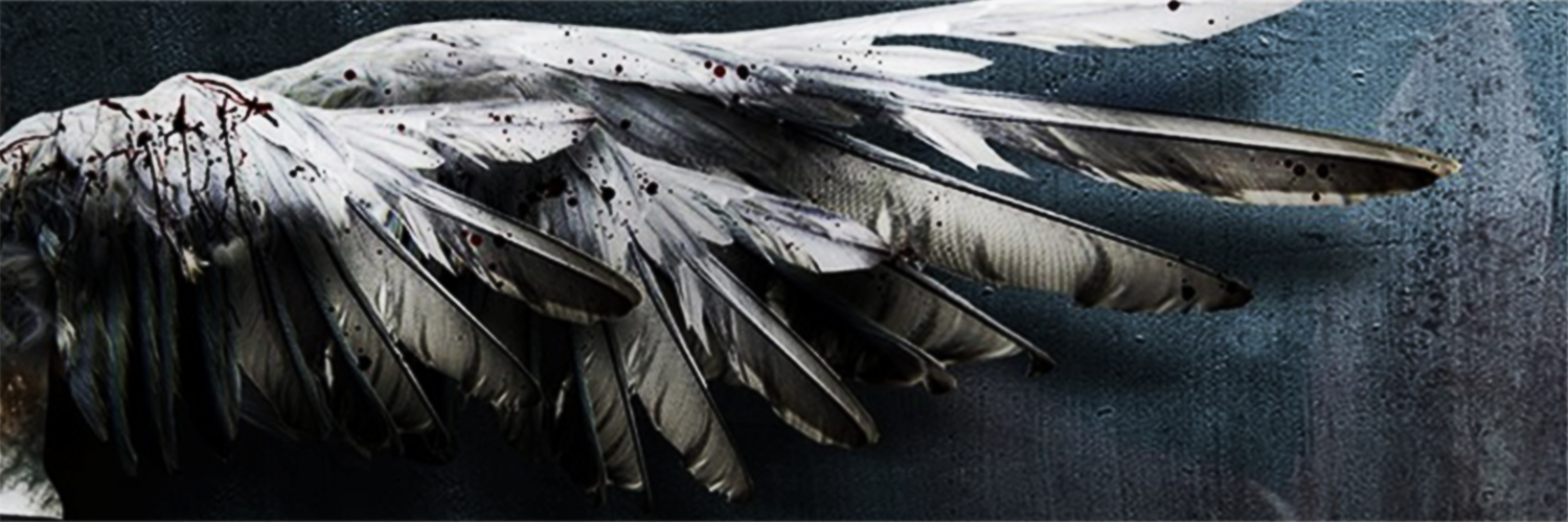 RixonBadAngel's profile banner image