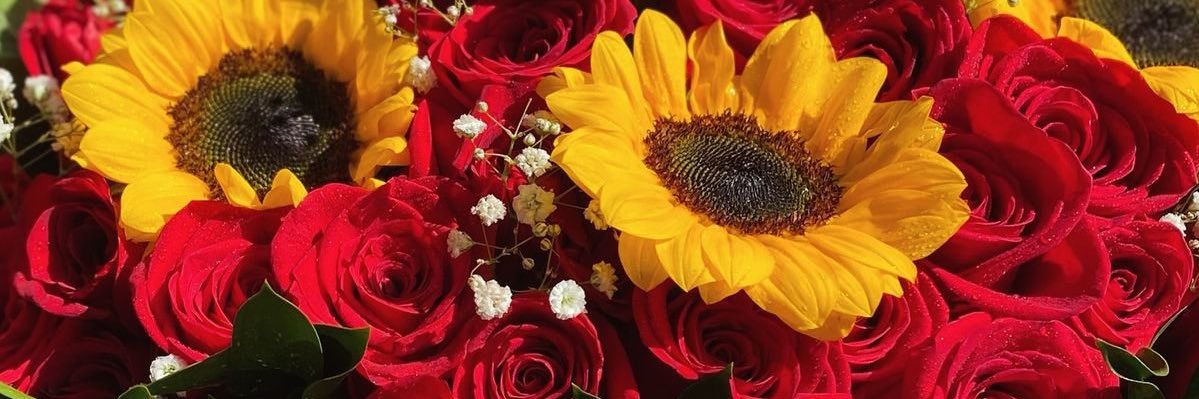 summer 🌻 banner