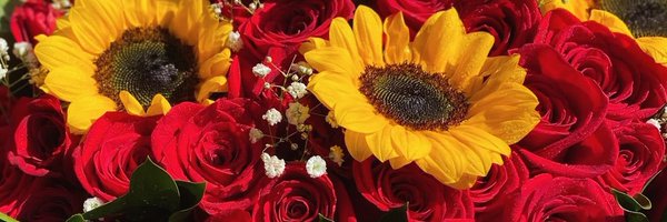 samiesummer Profile Banner