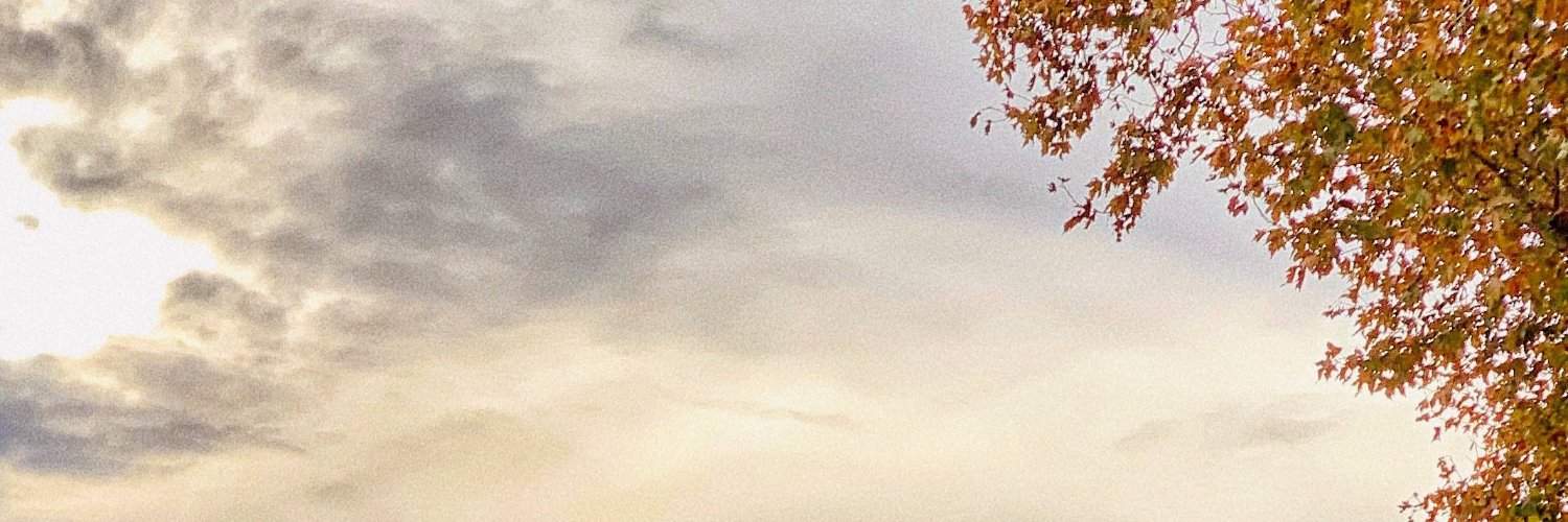 faxcelivo's profile banner image