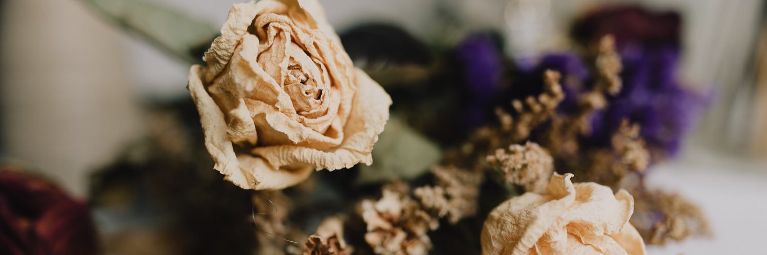 hannahnstokes's profile banner image