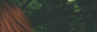 finbarcharles's profile banner image
