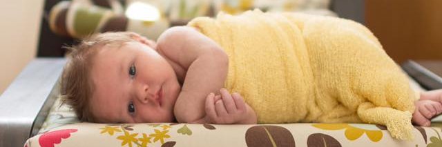 The Little Fox - Toby's Foundation banner