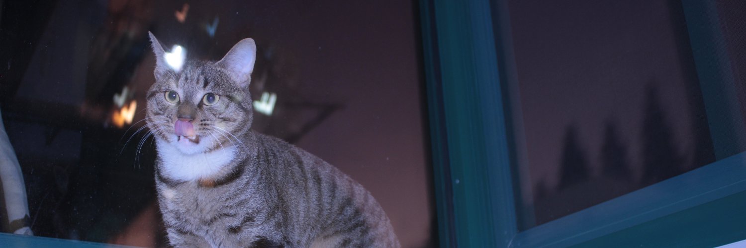 NabsFreeman's profile banner image