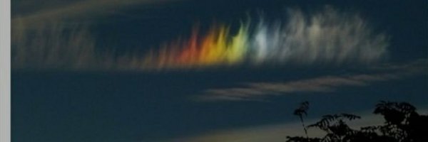 KIZANNE2 Profile Banner