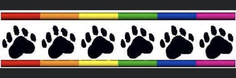 germanbear banner