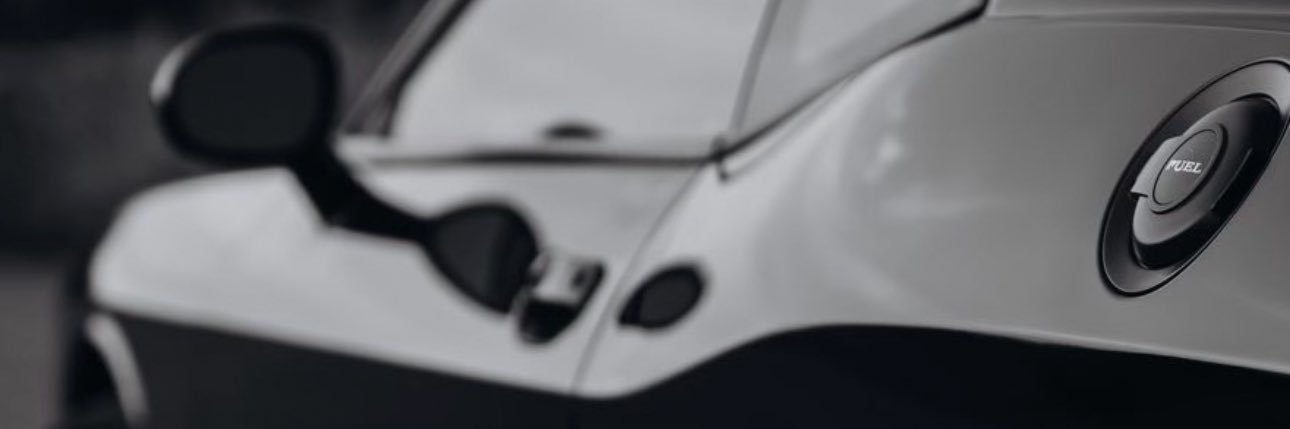 lamultimeow 🇺🇦 banner