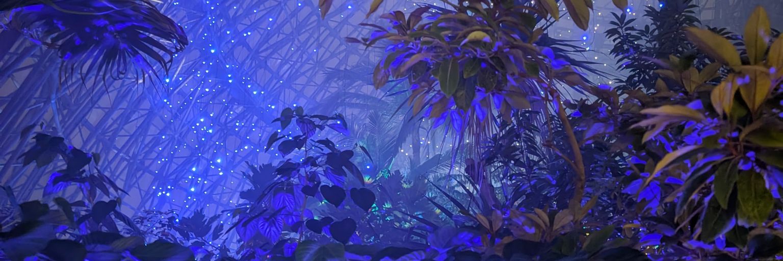 sheena banner