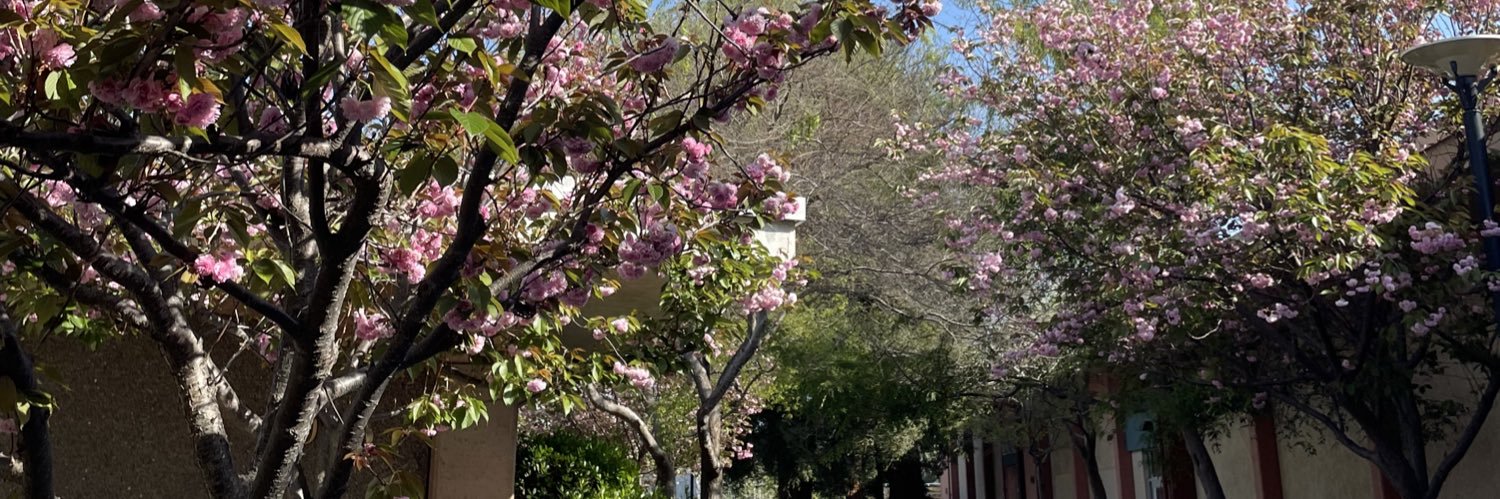 Cyndi 🐝 banner