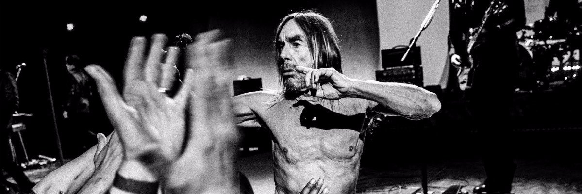 Iggy Pop news banner