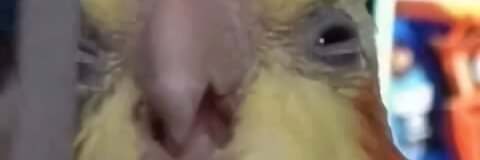 OffensiveCrab's profile banner image