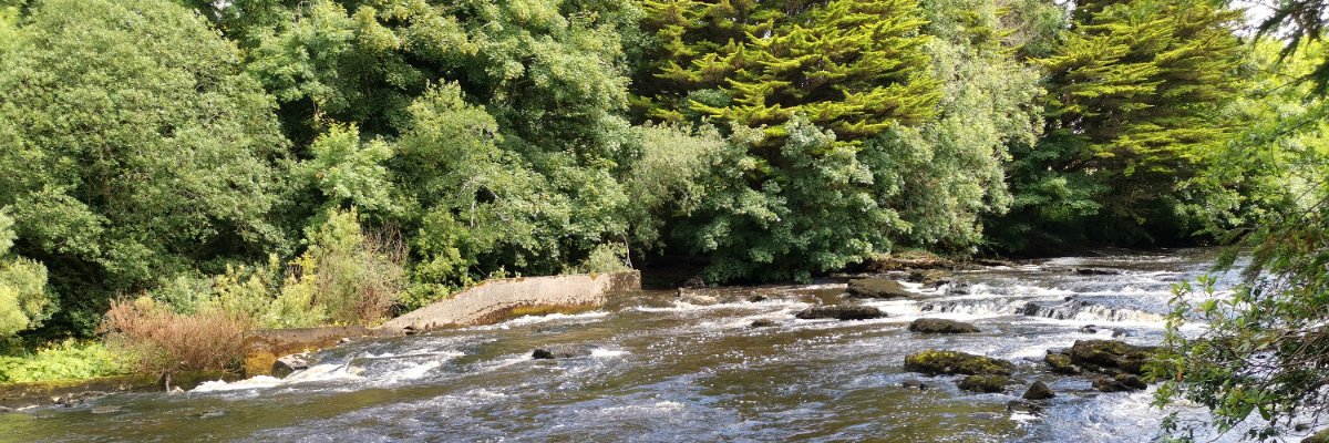 EV Bike Dude🇪🇺🇮🇪 🇸🇰🔋☀️⚡🤖👾 banner