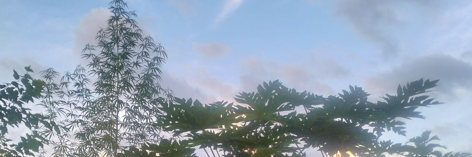 ramji0307's profile banner image