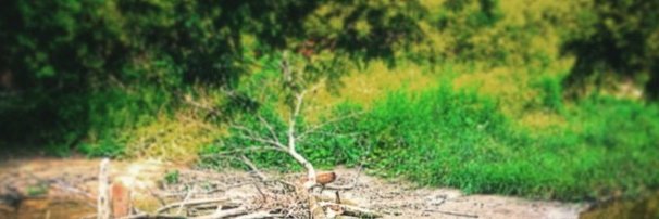 TheMoriLP's profile banner image