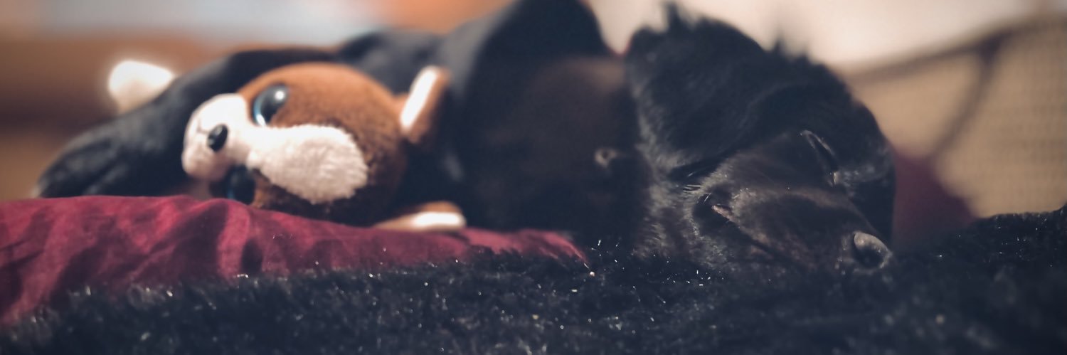 trinydaaaad's profile banner image