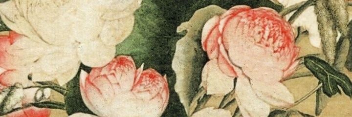mairamn's profile banner image