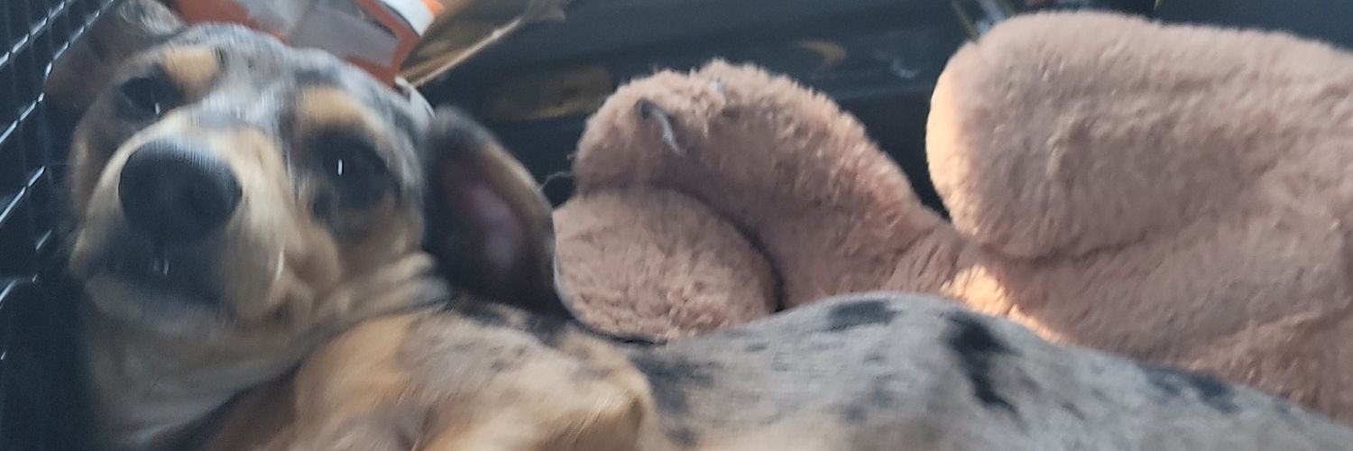 KutzJacob's profile banner image