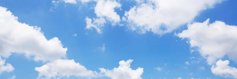 Gilberto Horcasitas banner