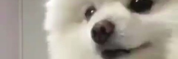 Gekikawa_Dbts Profile Banner