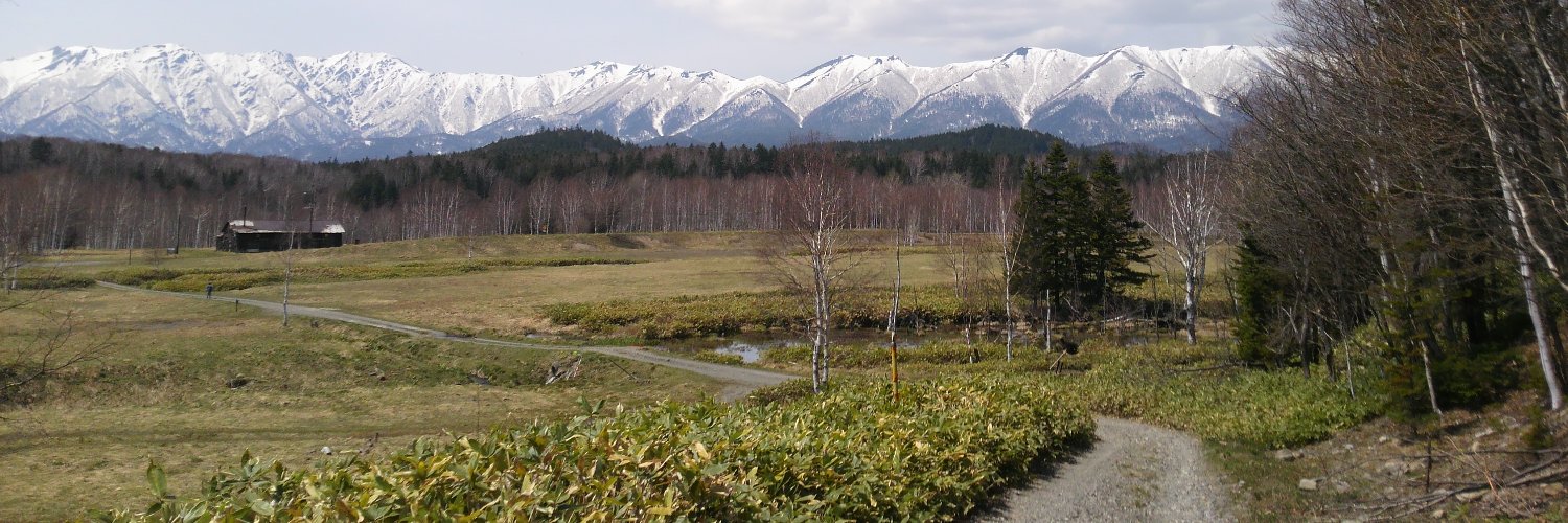 hasi_sapporo's profile banner image