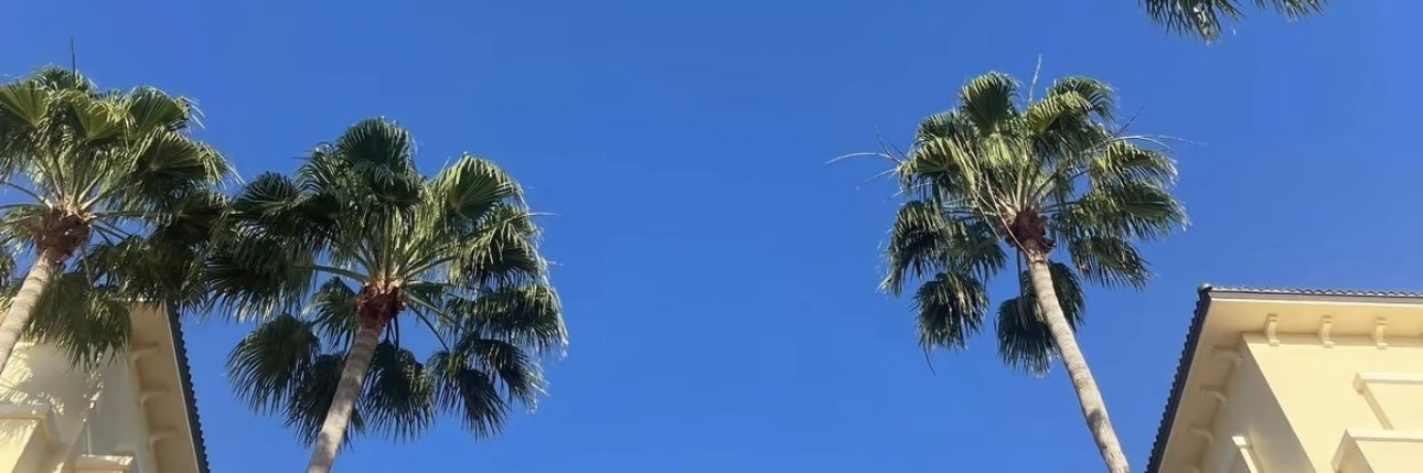 mamii_E's profile banner image